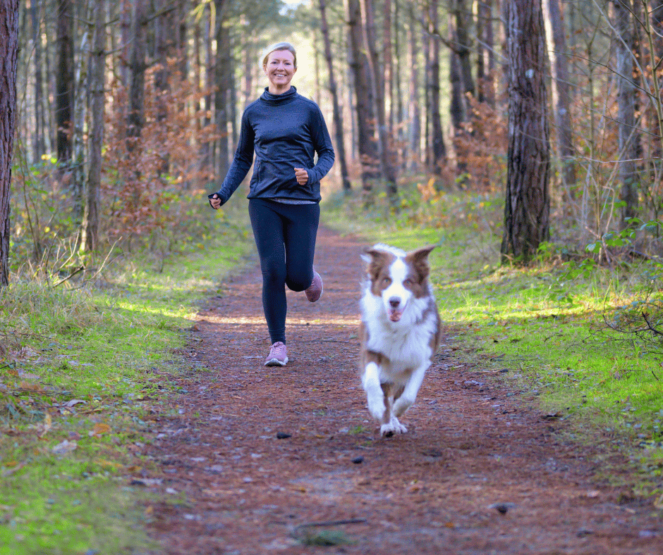 Pets Getting Exercise The Role of Exercise in Your Pet's Health and Happiness